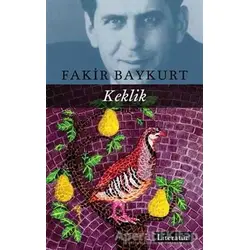 Keklik - Fakir Baykurt - Literatür Yayıncılık