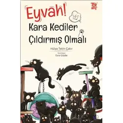 Eyvah Kara Kediler Çıldırmış Olmalı - Hülya Tekin Çakır - Türkiye Diyanet Vakfı Yayınları