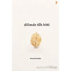 Dilimde Tüh Bitti - Recep Karaaslan - Cinius Yayınları