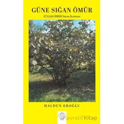 Güne Sığan Ömür - Haldun Eroğlu - Post Yayınevi