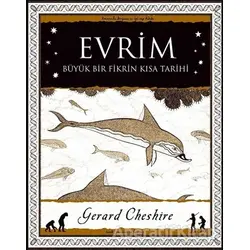 Evrim - Büyük Bir Fikrin Kısa Tarihi - Gerard Cheshire - A7 Kitap