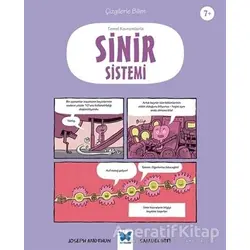 Temel Kavramlarla Sinir Sistemi - Joseph Midthun - Mavi Kelebek Yayınları