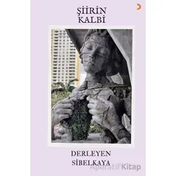 Şiirin Kalbi - Sibel Kaya - Cinius Yayınları