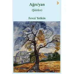 Ağrı / yan - Fevzi Yetkin - Cinius Yayınları