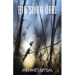 Bir Siyah Öfke - Mehmet Uysal - Cinius Yayınları