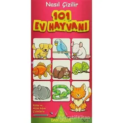Nasıl Çizilir - 101 Ev Hayvanı - Dan Green - Kuzey Yayınları