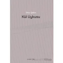 Kül Uykusu - Onur Şahin - Everest Yayınları