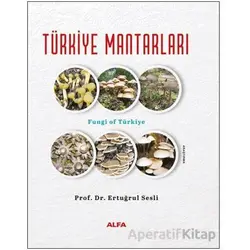 Türkiye Mantarları - Ertuğrul Sesli - Alfa Yayınları