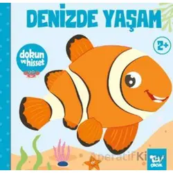 Dokun ve Hisset Denizde Yaşam - Kolektif - Türkiye Diyanet Vakfı Yayınları