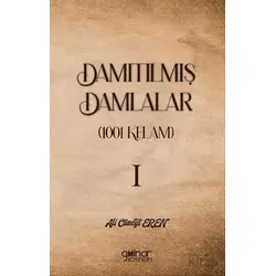 Damıtılmış Damlalar (1001 Kelam) I - Ali Cüneyt Eren - Gülnar Yayınları