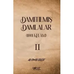 Damıtılmış Damlalar (1001 Kelam) II - Ali Cüneyt Eren - Gülnar Yayınları