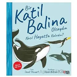 Bir Katil Balina Olsaydın Nasıl Hayatta Kalırdın? - David Stewart - Masalperest