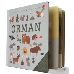 Say Bul Eğlen Orman - Kollektif - Uçan Fil Yayınları