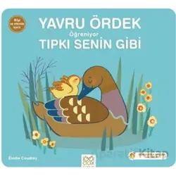Yavru Ördek Öğreniyor Tıpkı Senin Gibi - Elodie Coudray - 1001 Çiçek Kitaplar