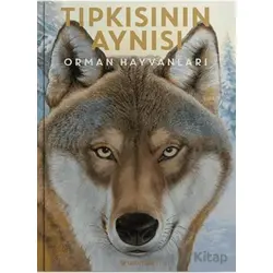 Tıpkısının Aynısı - Holger Haag - Usturlab Kitap