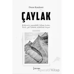 Çaylak - Duran Kandemir - İkinci Adam Yayınları