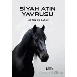 Siyah Atın Yavrusu - Metin Karatay - Sokak Kitapları Yayınları