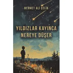 Yıldızlar Kayınca Nereye Düşer - Mehmet Ali Çelik - Gece Kitaplığı