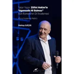 Tatar Yazar Zölfet Hekim’in “Agımsuda Ni Bulmas” Adlı Romanının Dil İncelemesi