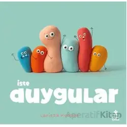 İşte Duygular - Larissa Honsek - Doğan Çocuk