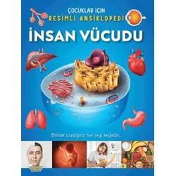 İnsan Vücudu / Çocuklar İçin Resimli Ansiklopedi - Kolektif - Yumurcak Yayınları