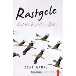Rastgele; Leylekler, Kozalaklar ve Düşler - Esat Namal - Tara Kitap