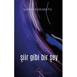 Şiir Gibi Bir Şey - Şaban Karakaya - Kırmızı Çatı Yayınları