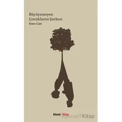 Büyüyemeyen Çocukların Şarkısı - Enes Can - Ahenk Kitap