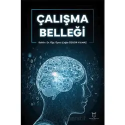Çalışma Belleği - Çağla Özgür Yılmaz - Akademisyen Kitabevi