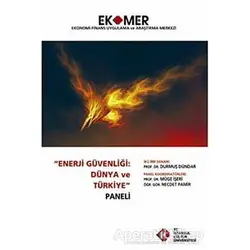Enerji Güvenliği : Dünya ve Türkiye Paneli 2010