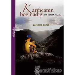 Karıncanın Boğmadığı Chiviyazıları Yayınevi