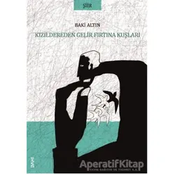 Kızıldereden Gelir Fırtına Kuşları - Baki Altın - Dahi Yayıncılık