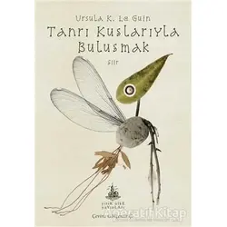 Tanrı Kuşlarıyla Buluşmak - Ursula K. Le Guin - Yitik Ülke Yayınları