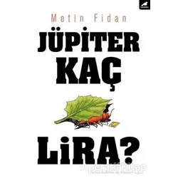 Jüpiter Kaç Lira? - Metin Fidan - Kara Karga Yayınları