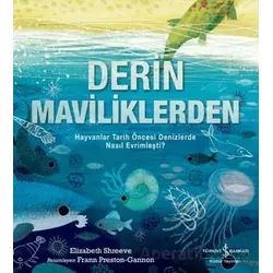 Derin Maviliklerden - Elizabeth Shreeve - İş Bankası Kültür Yayınları