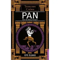 Pan Bize Ne Mesaj Veriyor? - Efe Elmas - Destek Yayınları