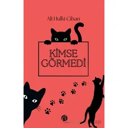 Kimse Görmedi - Ali Hulki Cihan - Herdem Kitap