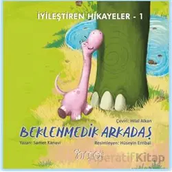 Beklenmedik Arkadaş - Samer Kanavi - Nito Kitap