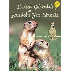 Tombul Çekirdek ve Anadolu Yer Sincabı - Mutlu Kart Gür - TÜBİTAK Yayınları