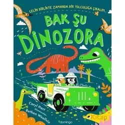 Bak Şu Dinozora - Caryl Hart - Domingo Yayınevi