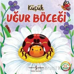 Küçük Uğur Böceği - Wednesday Jones - İş Bankası Kültür Yayınları