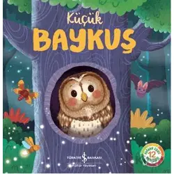 Küçük Baykuş - Wednesday Jones - İş Bankası Kültür Yayınları