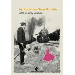 Ay Kocaman Gece Uzundu - Latife Doğanay Çağlayan - Meşe Kitaplığı