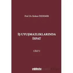 İş Uyuşmazlıklarında İspat (3 Cilt) - Erdem Özdemir - On İki Levha Yayınları