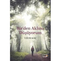 Birden Aklına Düşüyorum - Uğur Koç - Tilki Kitap