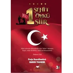 1 Şehit 1 Öykü 1 Şiir - Harun Yıldırım - Efsus Yayınları