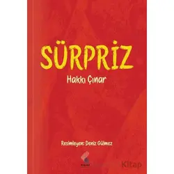 Sürpriz - Hakkı Çınar - Klaros Yayınları