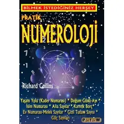 Pratik Numeroloji - Richard Collins - Platform Yayınları