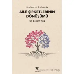 Aile Şirketlerinin Dönüşümü - Senem Kılıç - Varyant Yayıncılık