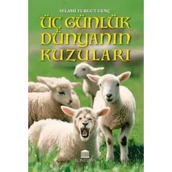 Üç Günlük Dünyanın Kuzuları - Selami Turgut Genç - Rönesans Yayınları